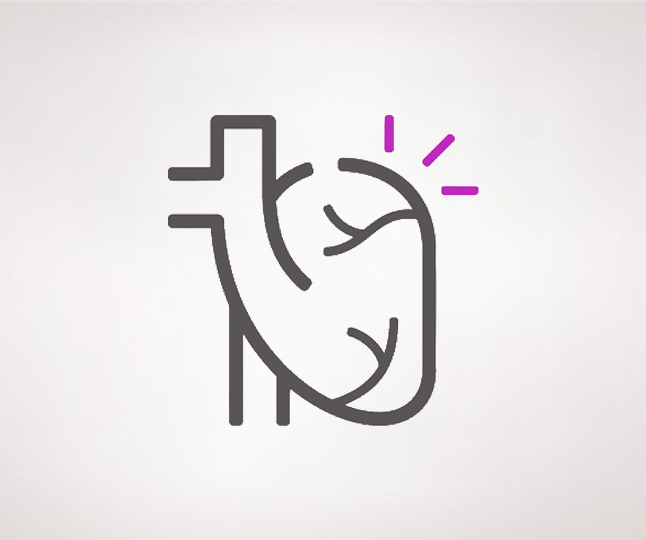Cardiovascular